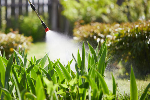 24/7 Emergency Mosquito Control experts in Belle Plaine, KS
