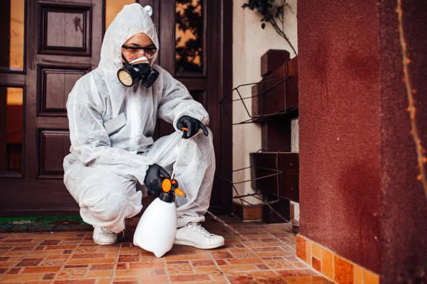 Reliable Mosquito Control contractor in Belle Plaine, KS by Show Me Pest Control